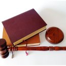 국제행정사 이미지