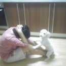 개밥주세요 이미지