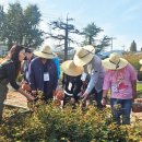 구)대산초등학교 이미지