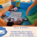 놀러와키즈방방 이미지