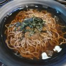선학모밀 이미지