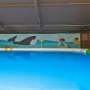 반딧불이키즈 이미지