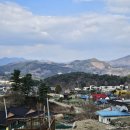 가평 글램핑 온더락 (바위숲 온더락) 솔직 후기 🏕️ | 4월 초 봄 글램핑, 잣죽 조식에 고양이까지!