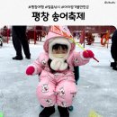 평창낚시 | 아이랑 겨울추억 만들기｜평창송어축제 얼음낚시 후기 &amp; 2026년 일정 정보