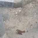 장기동경로당 이미지