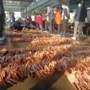 (주)영덕 이미지