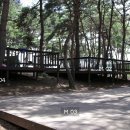 용봉산캠핑장 티스토리