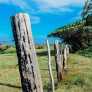 바보기계 이미지