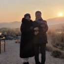 송강애견 이미지