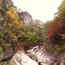 진주초교 이미지