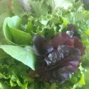 복동농장 이미지