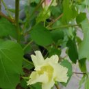 목화빌딩 이미지