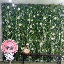 부산 경남 아이랑 실내 해바라기 수확체험 기간 플라워 팜팜 내돈내산 후기
