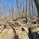 제장농장 이미지