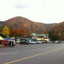 (주)영서관광