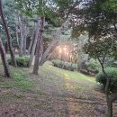 가인행복