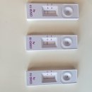 음성태권도장 이미지