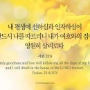 소중한선택 이미지