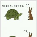 토끼와거북이 이미지
