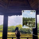 무심교옆 이미지