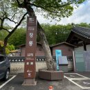 유산 | 영월 : 강원도 영월 장릉 후기 단종 능 조선왕릉 유네스코 세계유산 여행