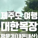 행복목장 | [제주도] 핫플카페 대한목장 아이랑 방문후기 애견동반 가능여부