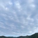 정자나무가든 이미지