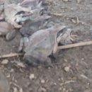 월학농장 이미지