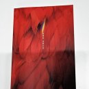 (주)준우약품 | 지금까지 이런 반전은 없었다 홍학의 자리 반전과 결말 해석