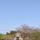 중문관광단지입구[남] 네이버블로그