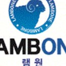 램원