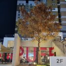 퍼프.아케이드커피 이미지