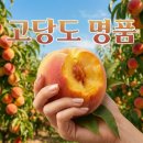 로얄상회 쇼핑하우