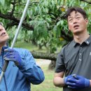 김호영농장 이미지