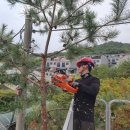 더좋은환경