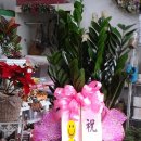 강기동정형외과의원 이미지