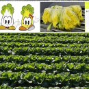 문광보건지소 이미지