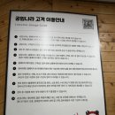 타이어나라 | 카니발 엔진오일 교환 비용 4만원! 공임나라 인천오류점 타이어 위치교환 후기
