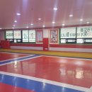 용인대 엘리트 태권도장 이미지