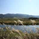 서천마을 이미지