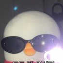 애플몽키 | 코스트코장보기 코스트코고구마칩 취풍원 김치맛돼지네 꽈백최선생 잭다니엘애플 몽키숄더KFC에그타르트