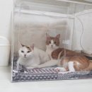 산소뱅크 이미지