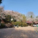 죽도봉공원 이미지