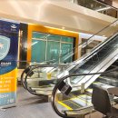 에이스카프라자 이미지