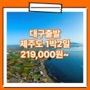 호텔펄리플러스 | 대구_제주도_1박2일 #관광패키지 #조석 / 대구출발제주도패키지 여행사 / 대구공항