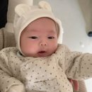 마틴스쇼룸분당