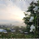 목인동 | 세종가족펜션 프라이빗한 힐링의 진수, 목인동펜션 후기