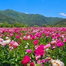 산자락 - 천안시 동남구 해수길 121 | 산자락