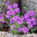 치매예방 인지놀이 이미지