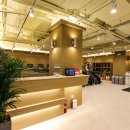 에이펙스라인 이미지